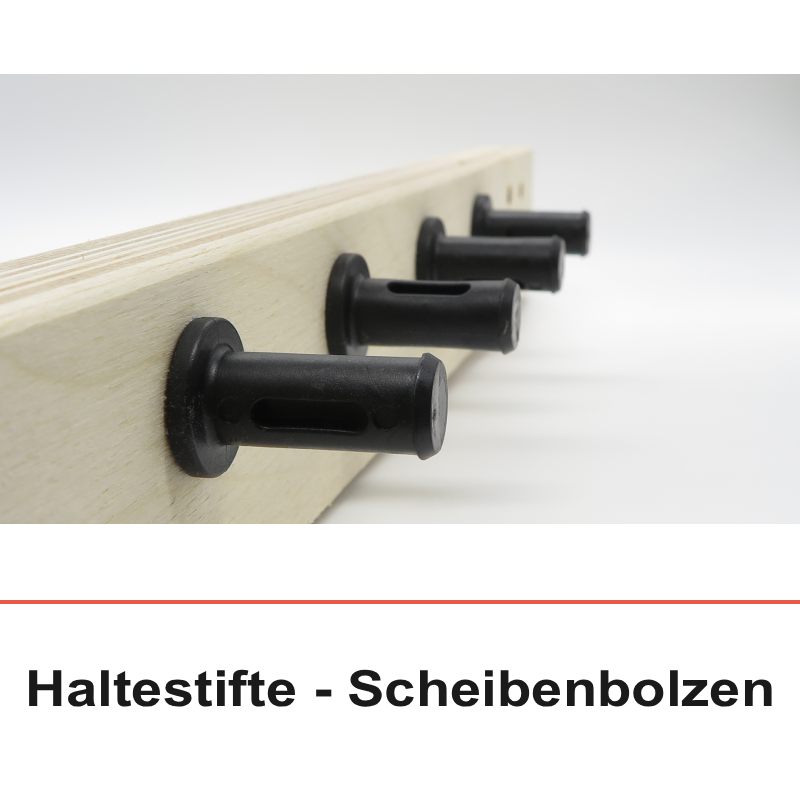 Haltestifte-Scheibenbolzen für Lattenroste